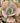 Echeveria Pollux (Bare Rooted)