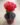 Grafting Moon Cactus (Bare Rooted)
